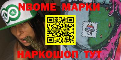 гидра Ставрополь
