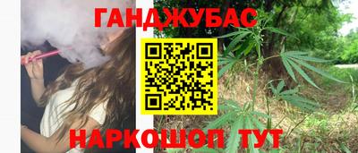 гидра Ставрополь