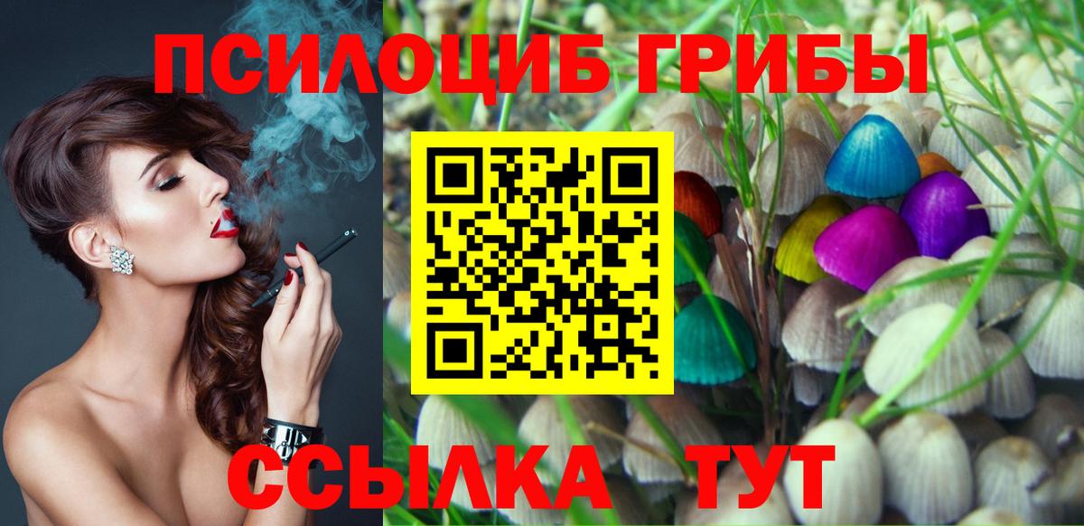 Пугачёв  Псилоцибиновые грибы Psilocybine cubensis  Псилоцибиновые грибы Cubensis  Вход с VPN 