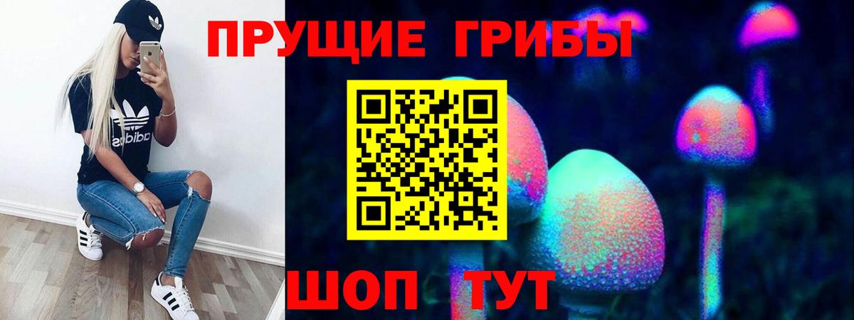 Псилоцибиновые грибы Psilocybe Пугачёв
